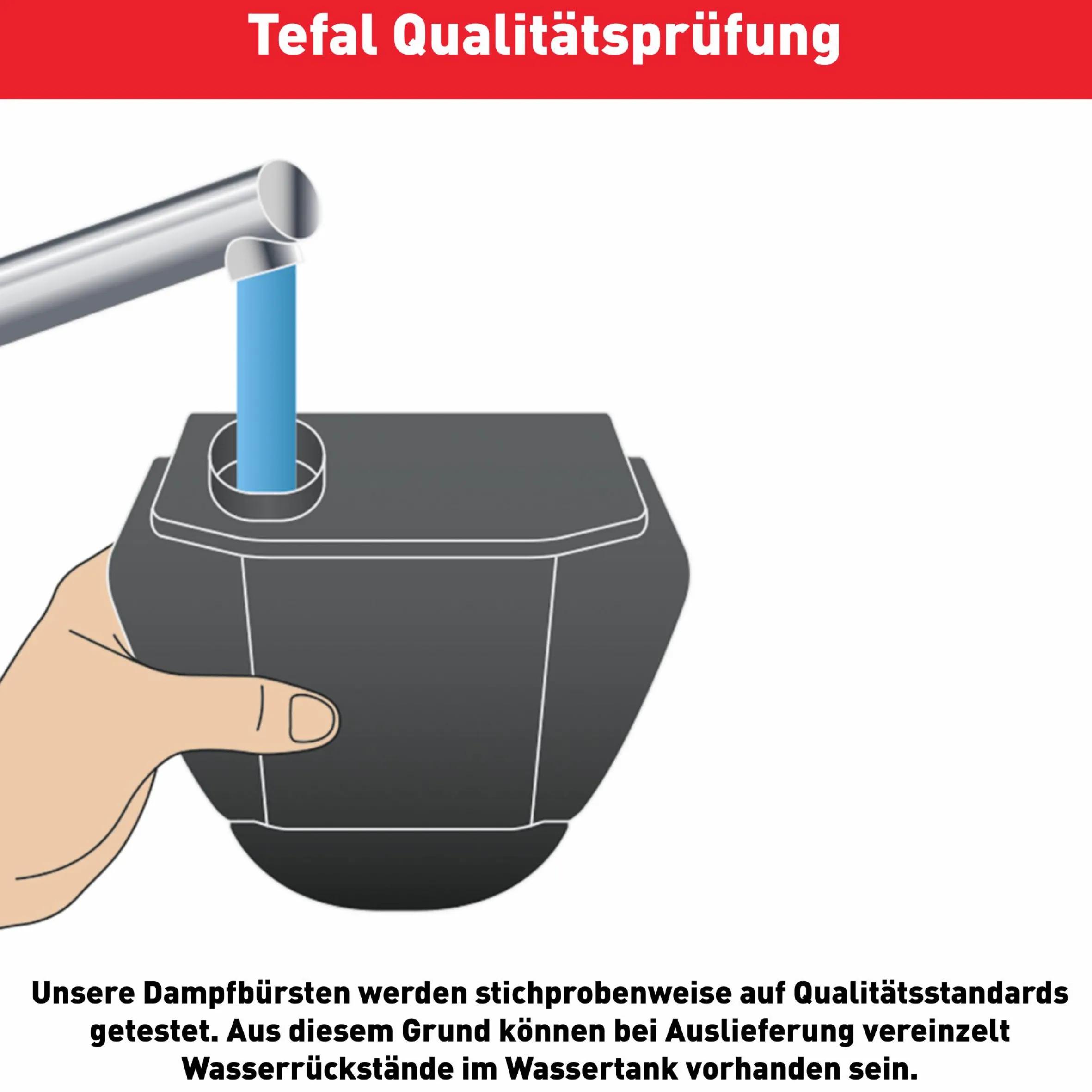 Access'Steam Pocket Dampfbürste DT3053|Tefal Clearance