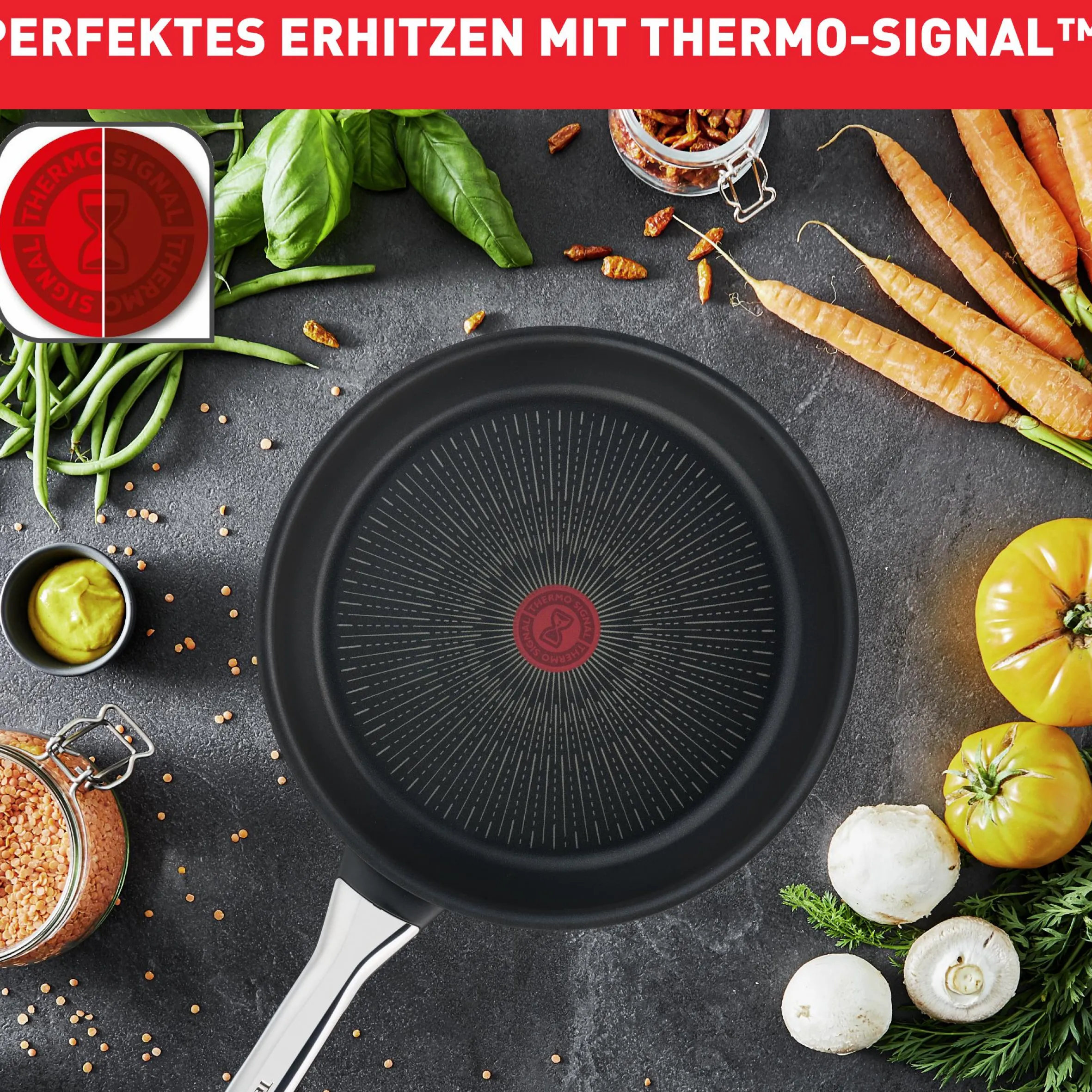 Excellence Schmorpfanne 24cm mit Deckel G26932|Tefal Sale