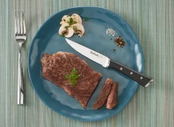 Ice Force Steakmesser 4er Set K232S4|Tefal New