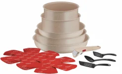 Ingenio Delight 17-teiliges Set L7839002|Tefal Clearance