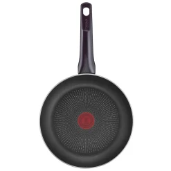 Resist Intense Pfanne 24 cm D52204|Tefal Online