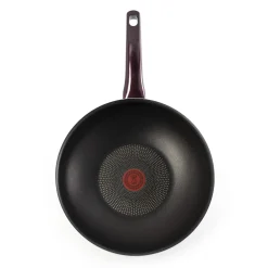 Resist Intense Wokpfanne 28 cm D52219|Tefal Online